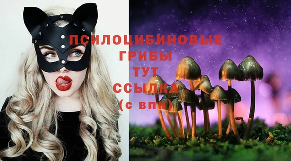 спайс Касимов