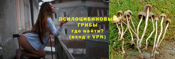 стафф Карталы