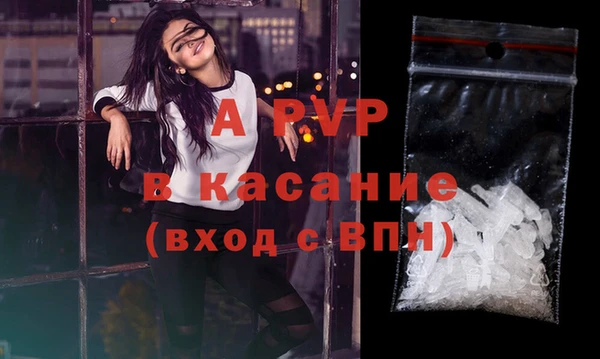спайс Касимов