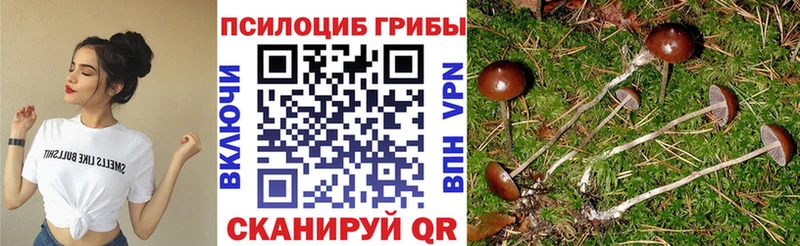 Купить  Ульяновск  Псилоцибиновые грибы ЛСД 