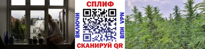 МАРИХУАНА THC 21%  Купить где  Ульяновск 